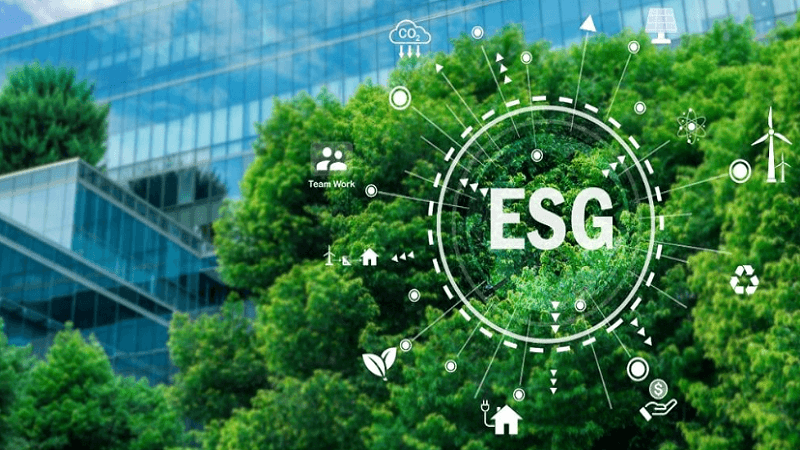 ESG Strategy in Australia: Environmental Standards as a Catalyst for Transformation