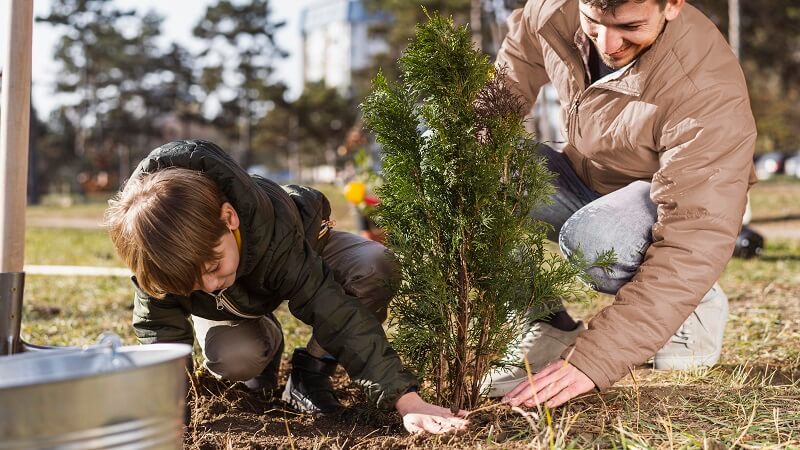 How Seasonal Changes Affect Tree Health in Pittsburgh, PA