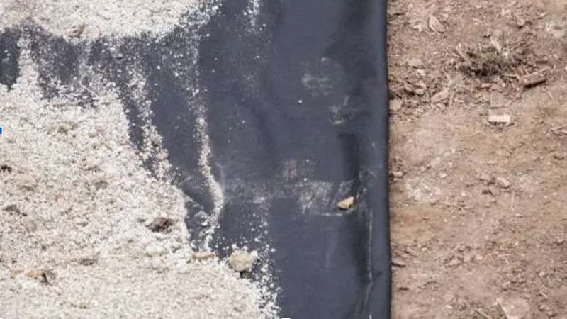 Thick Plastic Sheeting Roll for Strong Surface Protection