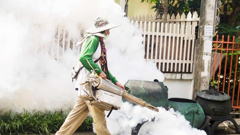 How Mosquito Exterminators Near You Protect Your Home And Family