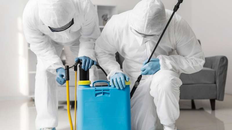 5 Traits That Make A Local Exterminator Truly Dependable