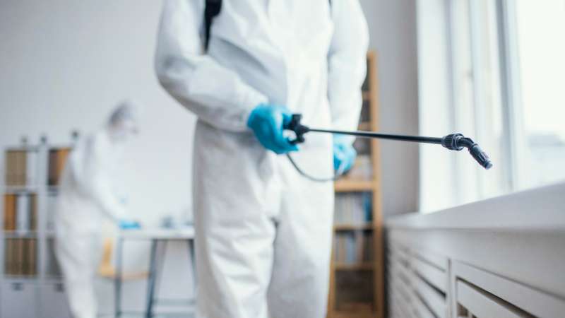 How Termite And Pest Control Specialists Safeguard Your Property